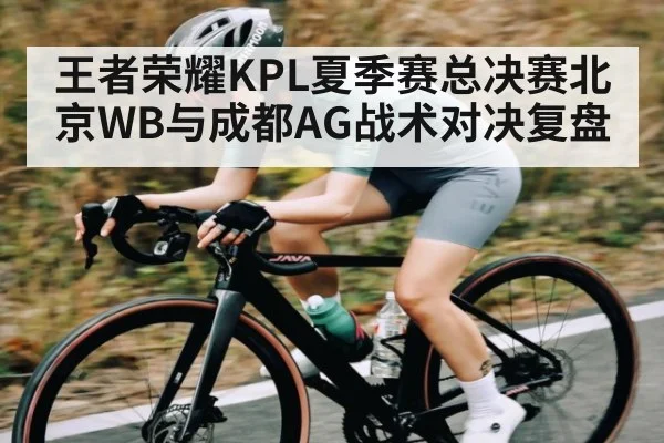 王者荣耀KPL夏季赛总决赛北京WB与成都AG战术对决复盘